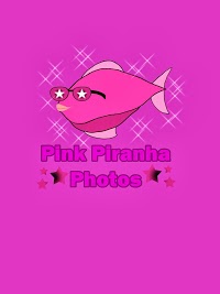 Pink Piranha Photos Franchise 1061369 Image 0